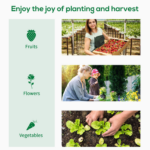 Outsunny Walk-In Garden Greenhouse 200x76x168cm - Image 6